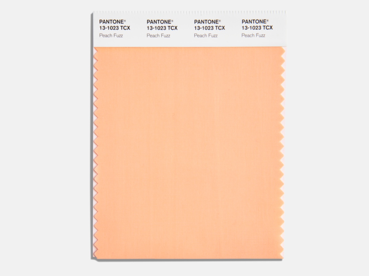 Single solid fabric swatch of the Pantone Color of the Year 2024, Peach Fuzz